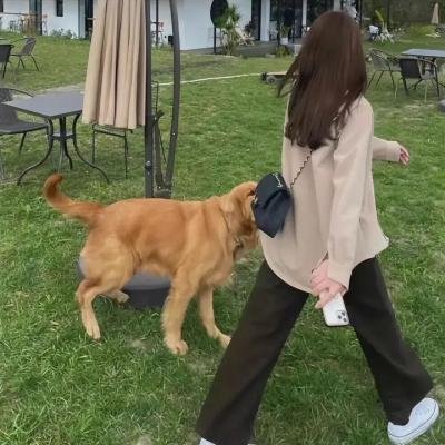 如我们所见