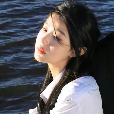 企鹅之岛：福克兰